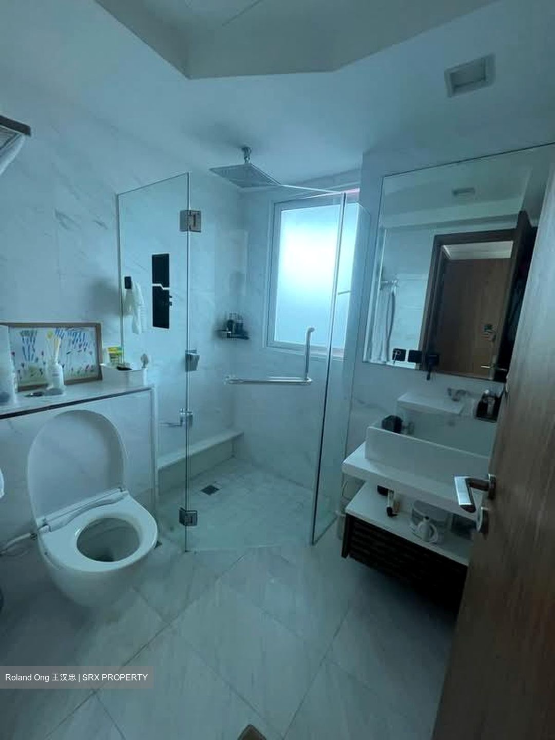 Suites At Orchard (D9), Apartment #550908621